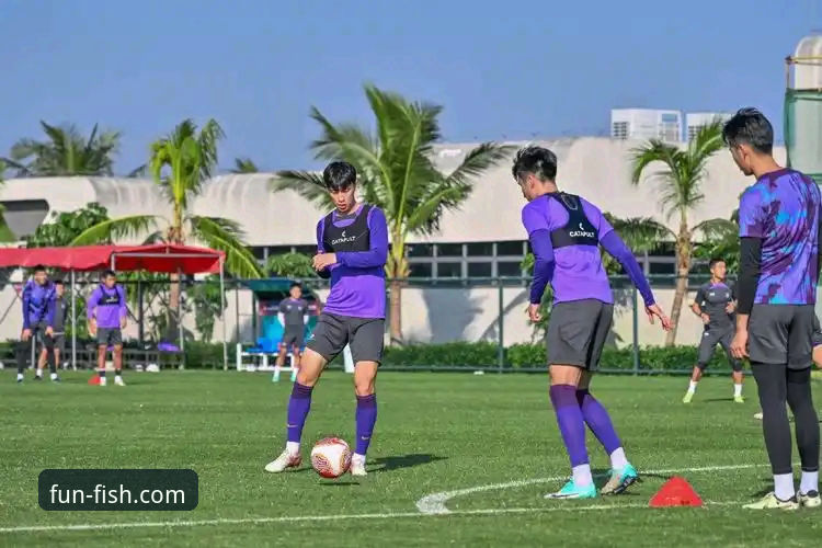 乐鱼体育平台使用指南：从下载到畅玩的完整实战解析