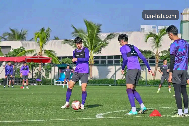 资深用户分享：在乐鱼体育平台沉浸式体验骑士魔术对攻大战